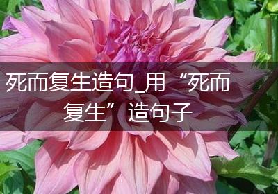 死而复生造句_用“死而复生”造句子