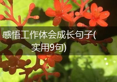 感悟工作体会成长句子(实用9句)