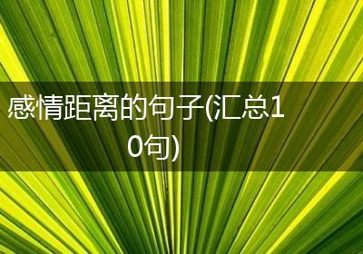 感情距离的句子(汇总10句)