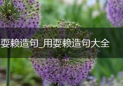 耍赖造句_用耍赖造句大全