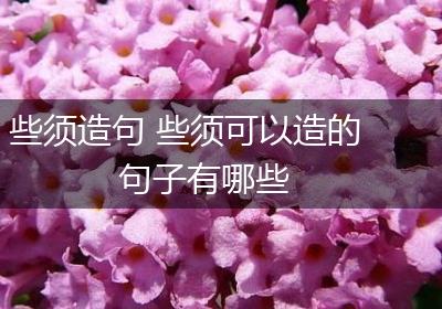 些须造句 些须可以造的句子有哪些