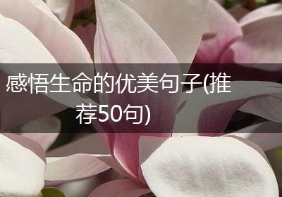 感悟生命的优美句子(推荐50句)