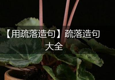 【用疏落造句】疏落造句大全