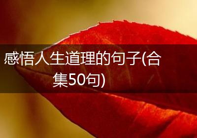 感悟人生道理的句子(合集50句)