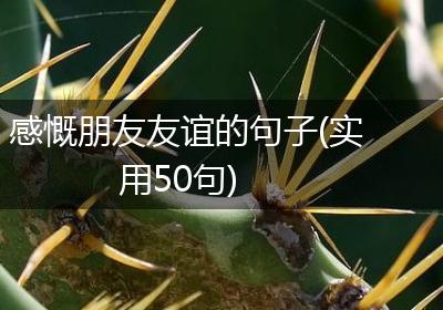 感慨朋友友谊的句子(实用50句)