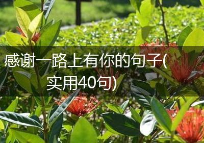 感谢一路上有你的句子(实用40句)