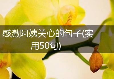 感激阿姨关心的句子(实用50句)