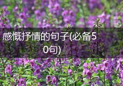 感慨抒情的句子(必备50句)