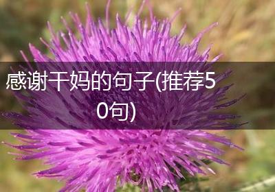 感谢干妈的句子(推荐50句)