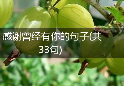 感谢曾经有你的句子(共33句)