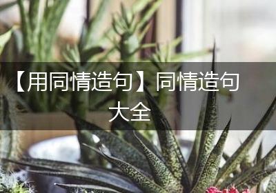 【用同情造句】同情造句大全