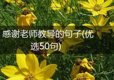 感谢老师教导的句子(优选50句)