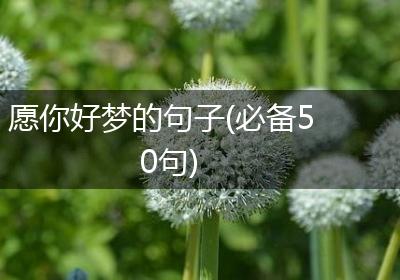 愿你好梦的句子(必备50句)