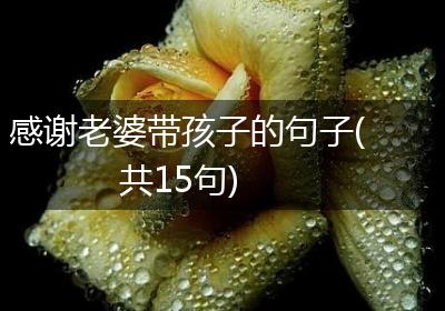 感谢老婆带孩子的句子(共15句)