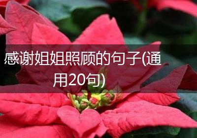 感谢姐姐照顾的句子(通用20句)