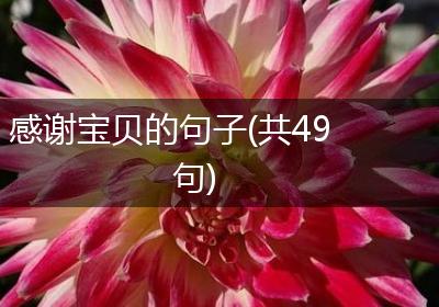 感谢宝贝的句子(共49句)