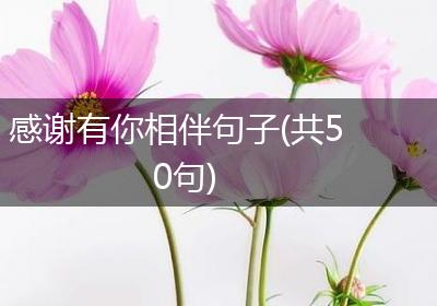 感谢有你相伴句子(共50句)