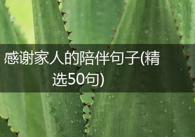 感谢家人的陪伴句子(精选50句)