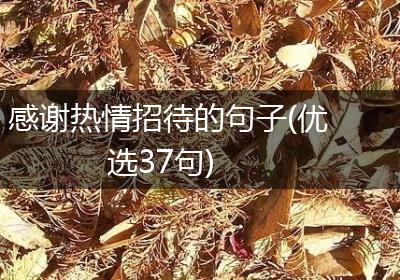 感谢热情招待的句子(优选37句)