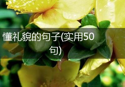 懂礼貌的句子(实用50句)