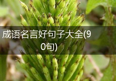 成语名言好句子大全(90句)