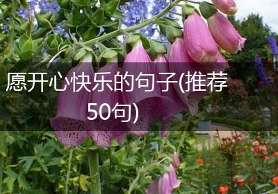 愿开心快乐的句子(推荐50句)