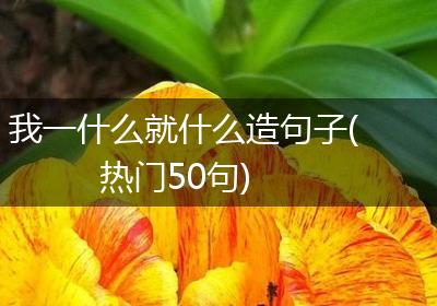 我一什么就什么造句子(热门50句)