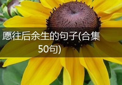 愿往后余生的句子(合集50句)
