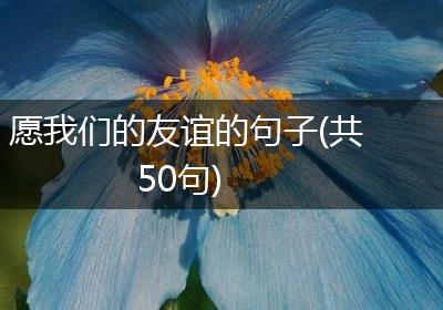 愿我们的友谊的句子(共50句)