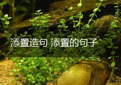 添置造句 添置的句子
