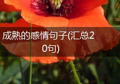成熟的感情句子(汇总20句)