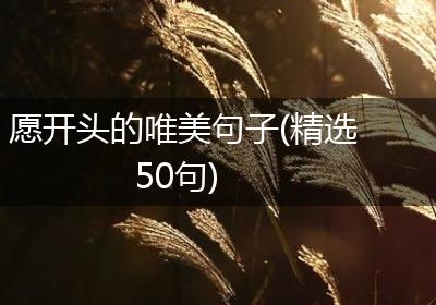 愿开头的唯美句子(精选50句)