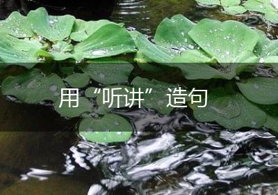 用“听讲”造句