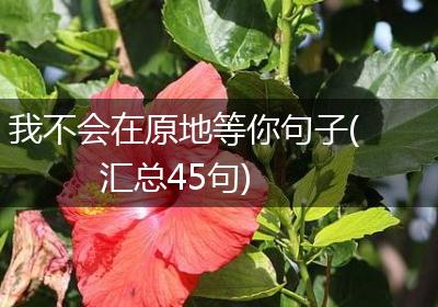 我不会在原地等你句子(汇总45句)