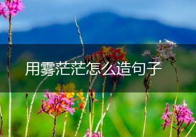 用雾茫茫怎么造句子