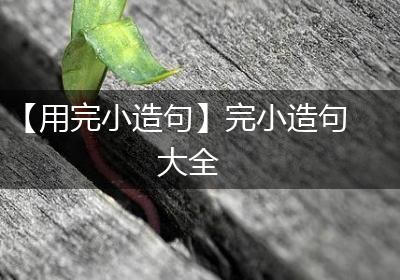【用完小造句】完小造句大全