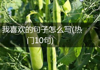 我喜欢的句子怎么写(热门10句)