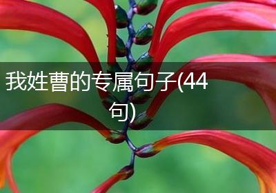 我姓曹的专属句子(44句)