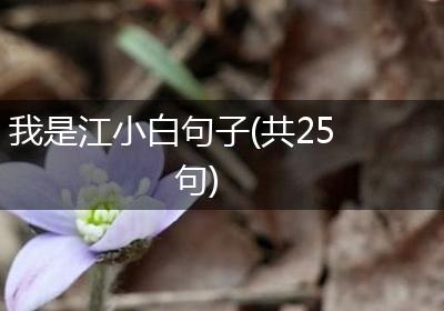 我是江小白句子(共25句)