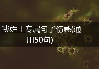 我姓王专属句子伤感(通用50句)