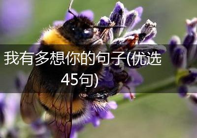 我有多想你的句子(优选45句)