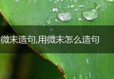 微末造句,用微末怎么造句