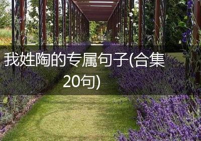 我姓陶的专属句子(合集20句)