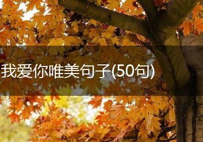 我爱你唯美句子(50句)