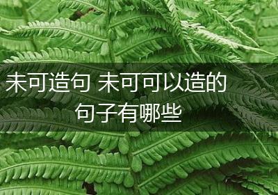 未可造句 未可可以造的句子有哪些