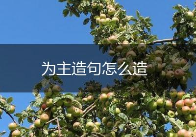 为主造句怎么造