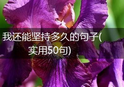 我还能坚持多久的句子(实用50句)