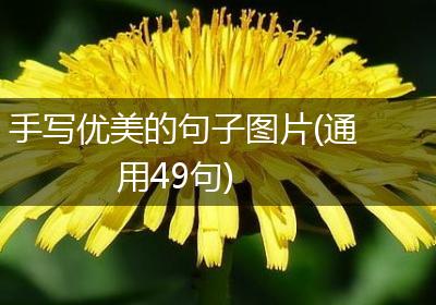 手写优美的句子图片(通用49句)