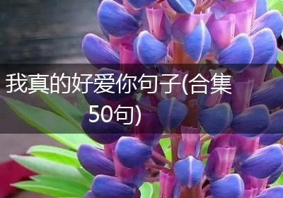 我真的好爱你句子(合集50句)