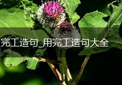 完工造句_用完工造句大全